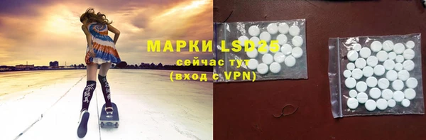 ГАЛЛЮЦИНОГЕННЫЕ ГРИБЫ Абаза