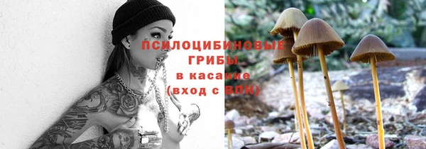 a pvp Алексин