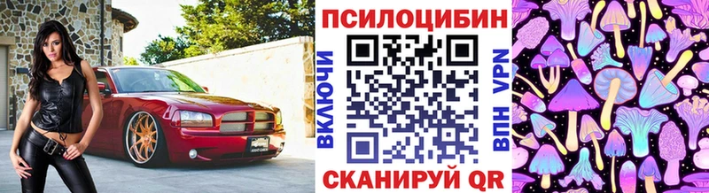 Псилоцибиновые грибы Psilocybe  даркнет наркотические препараты  Ковров  OMG ONION 